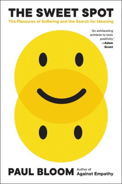 Sweet Spot - The Pleasures of Suffering and the Search for Meaning