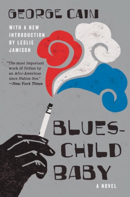 Blueschild Baby - A Novel