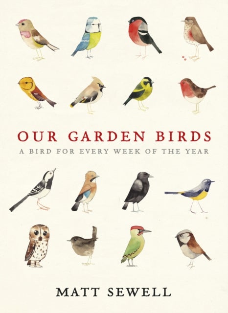 Our Garden Birds - a stunning illustrated guide to the birdlife of the British Isles