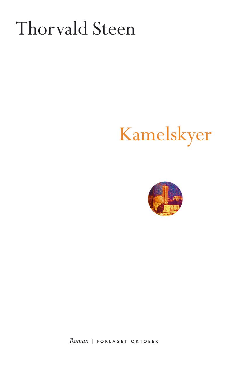 Kamelskyer - roman