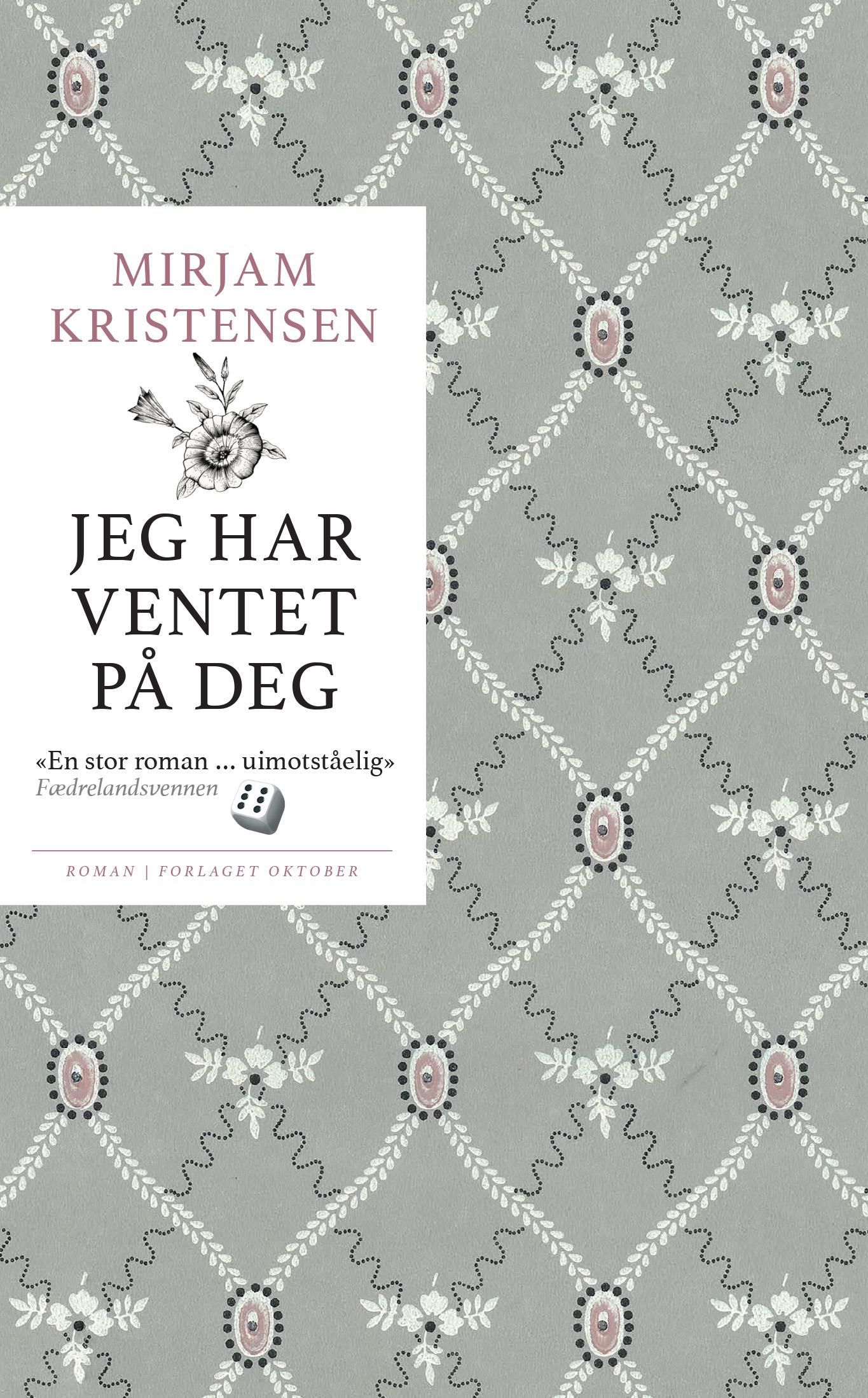 Jeg har ventet på deg - roman