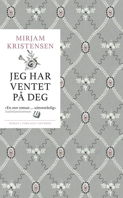 Jeg har ventet på deg - roman