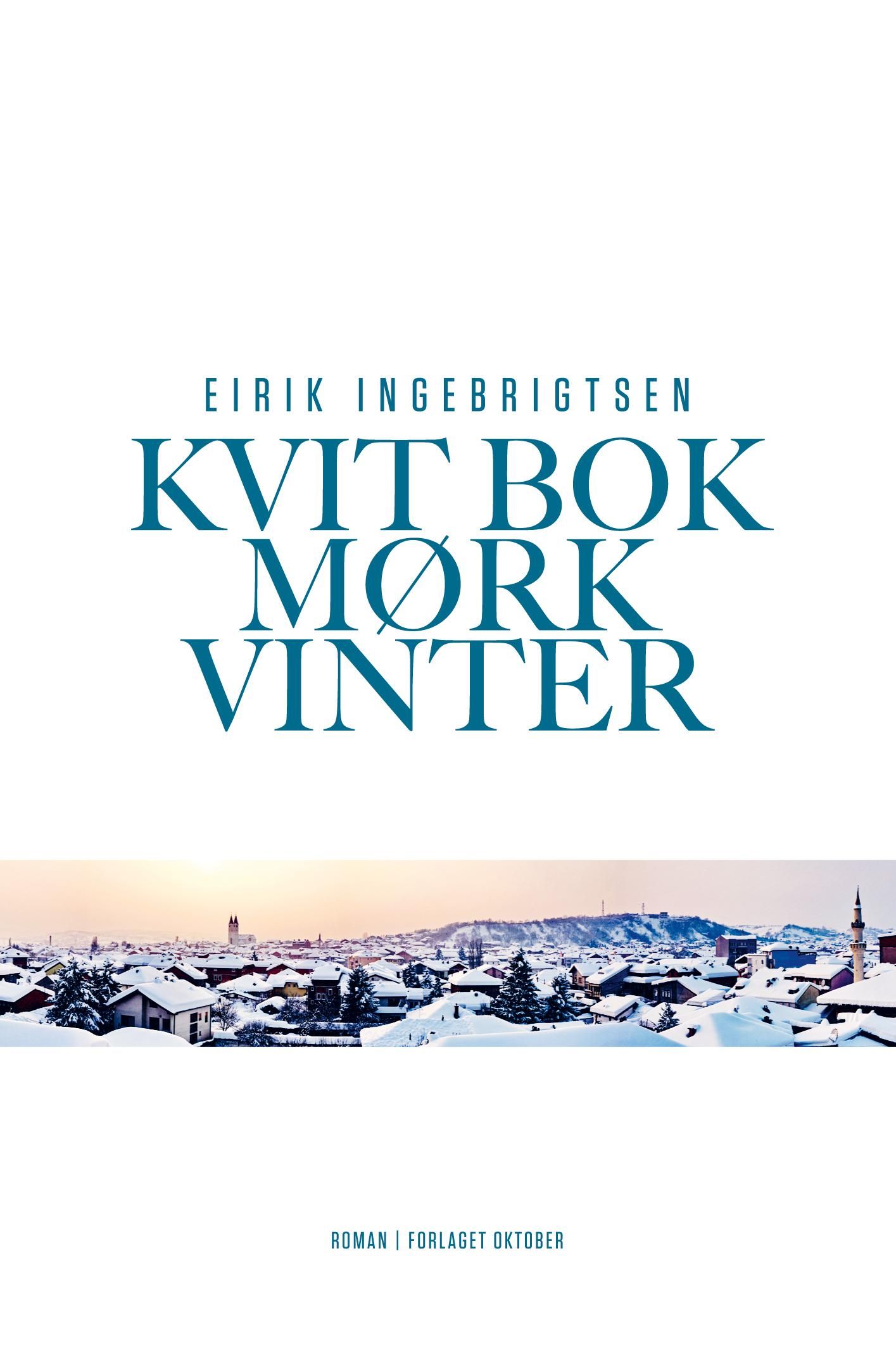 Kvit bok mørk vinter - roman