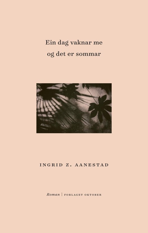 Ein dag vaknar me og det er sommar - roman