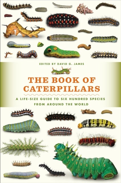 The Book of Caterpillars – A Life–Size Guide to Six Hundred Species from around the World - A Life-Size Guide to Six Hundred Species from around the World