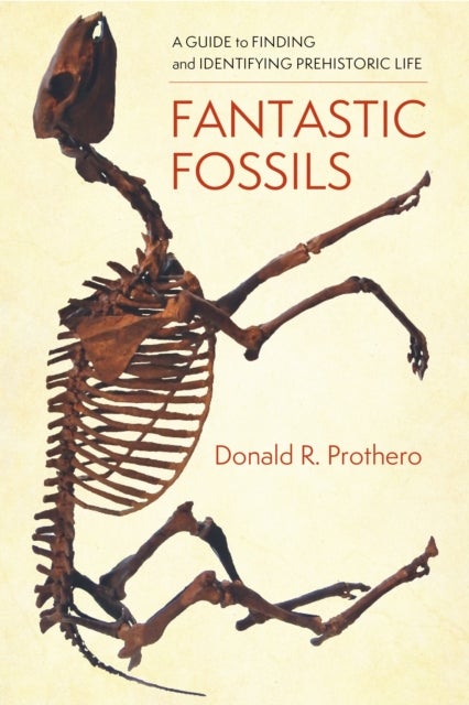 Fantastic Fossils – A Guide to Finding and Identifying Prehistoric Life - A Guide to Finding and Identifying Prehistoric Life