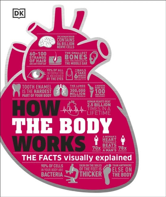 How the Body Works - The Facts Simply Explained