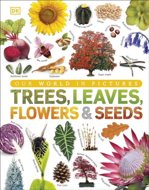 Trees, Leaves, Flowers & Seeds - A Visual Plant Encyclopedia for Kids