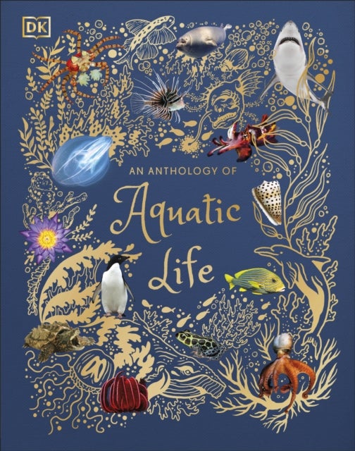 An Anthology of Aquatic Life - Discover the Secret Lives Under the Sea