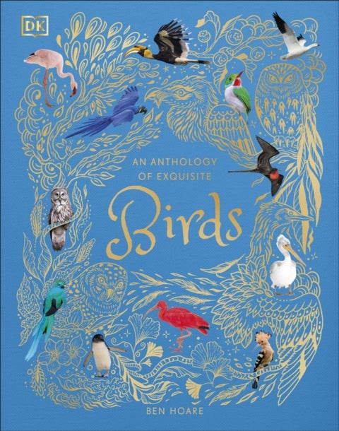 An Anthology of Exquisite Birds - Discover the Beauty of the Avian World