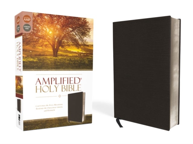 Amplified Holy Bible, Bonded Leather, Black - Captures the Full Meaning Behind the Original Greek and Hebrew