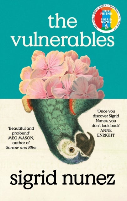 Vulnerables - 'As funny as it is painfully honest' (Paula Hawkins)
