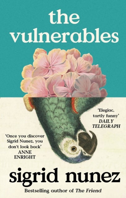 Vulnerables - 'As funny as it is painfully honest' (Paula Hawkins)