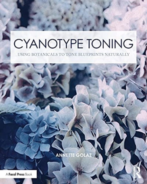 Cyanotype Toning - Using Botanicals to Tone Blueprints Naturally