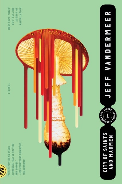 City of Saints and Madmen - A Novel