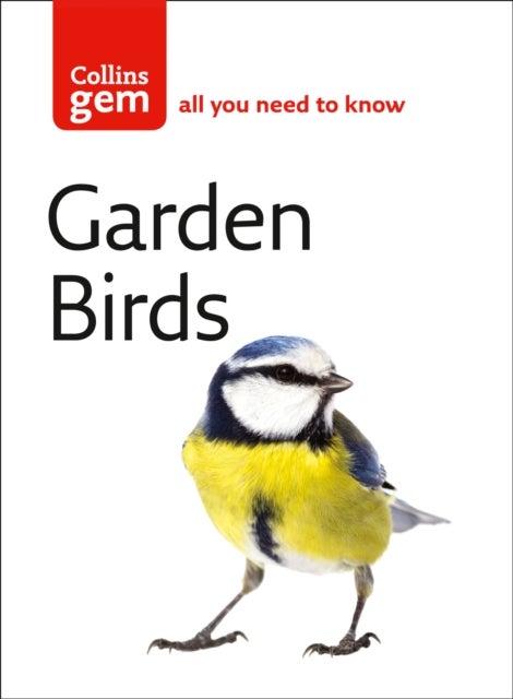 GEM GARDEN BIRDS PB