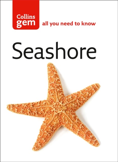 GEM SEASHORE TPB