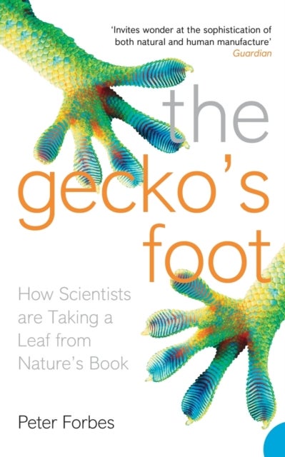 GECKOS FOOT PB - How Scientists are Taking a Leaf from Nature's Book