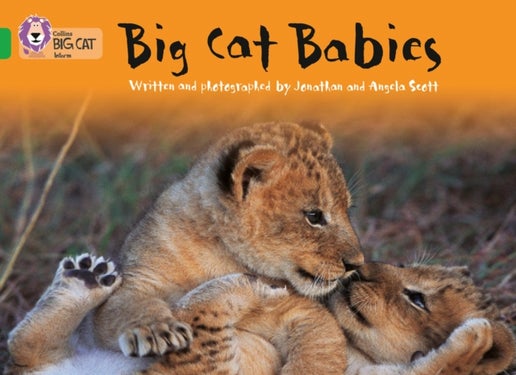 BIG CAT - BIG CAT BABIES - Band 05/Green