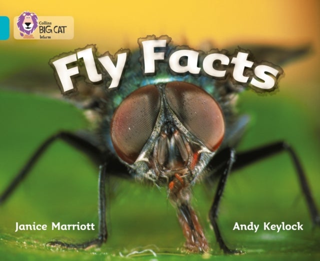 BIG CAT - FLY FACTS - Band 07/Turquoise