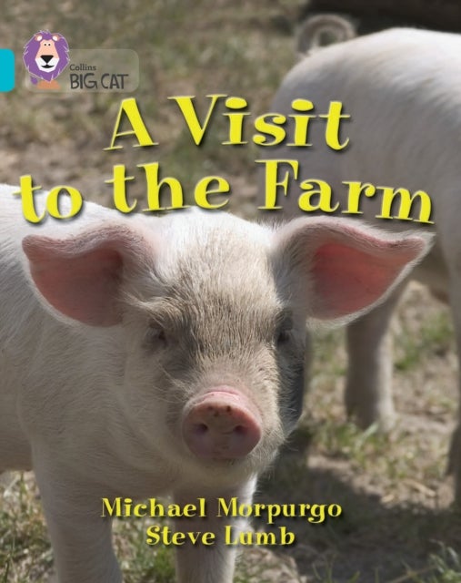 A Visit to the Farm - Band 07/Turquoise