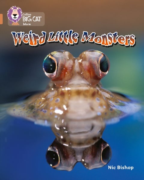Weird Little Monsters - Band 12/Copper