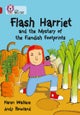 BIG CAT - FLASH HARRIET FF