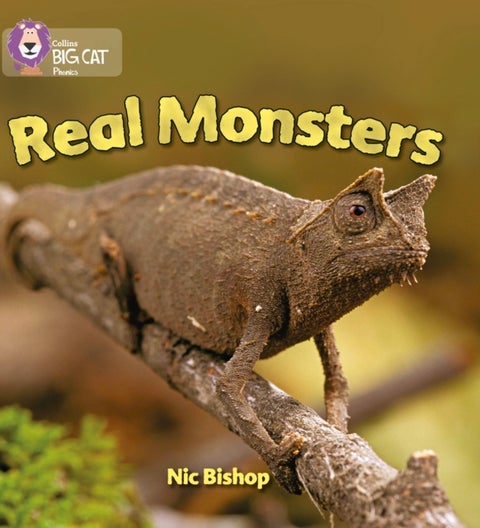 Real Monsters - Band 03/Yellow
