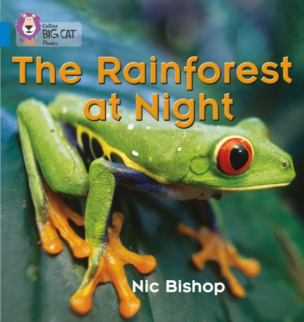BIG CAT PHONICS - RAINFRST AT
