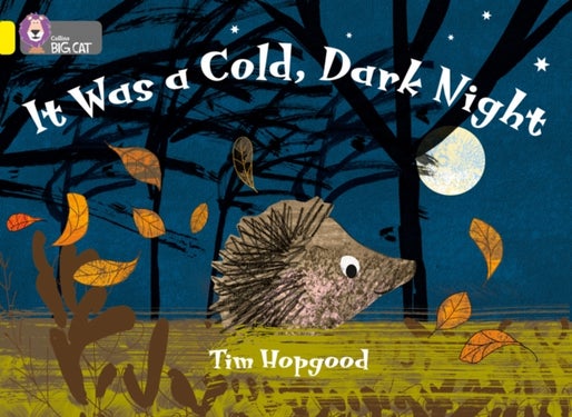 BIG CAT - IT WAS COLD DARK - Band 03/Yellow