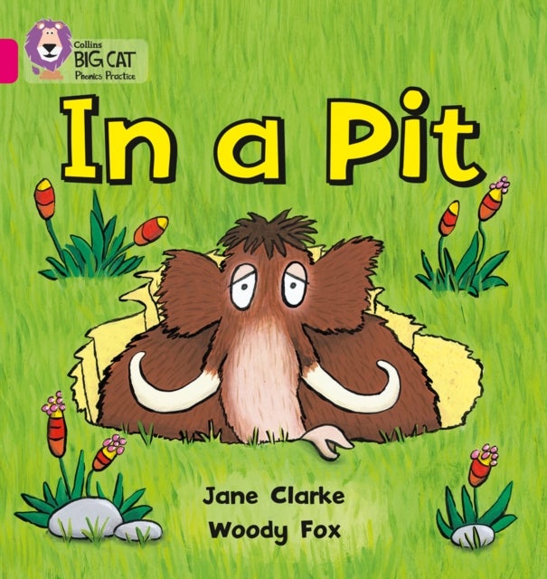 BIG CAT PHONICS - IN A PIT - Band 01a/Pink a