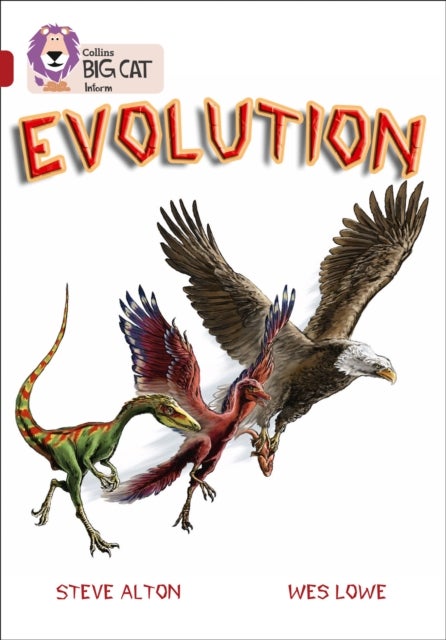 Evolution - Band 14/Ruby