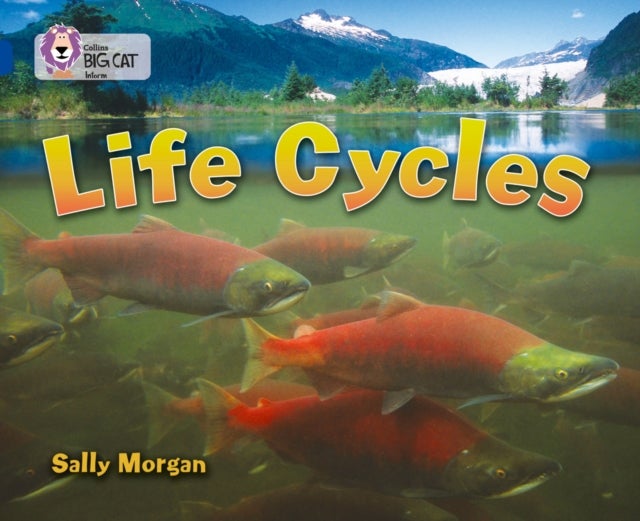 BIG CAT - LIFE CYCLES - Band 16/Sapphire