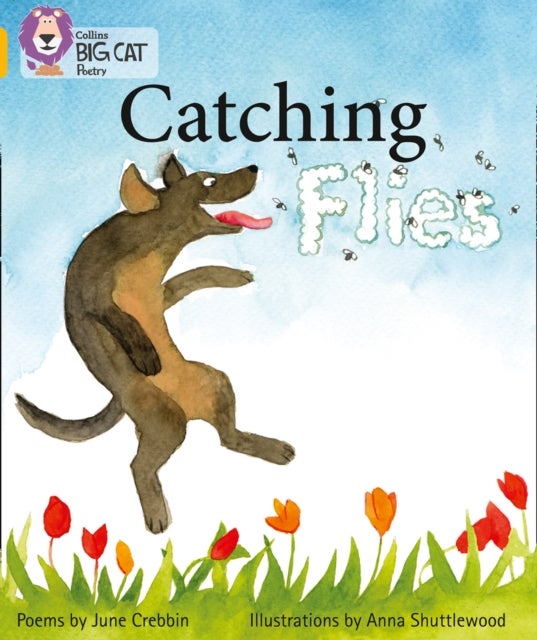 BIG CAT - CATCHING FLIES - Band 09/Gold