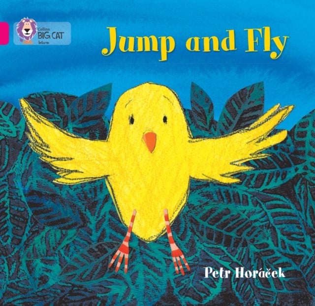 BIG CAT - JUMP AND FLY - Band 01a/Pink a