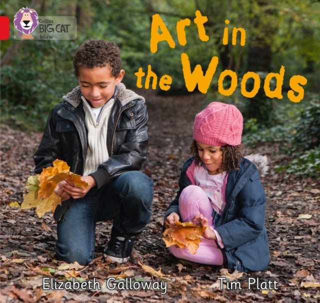 BIG CAT - ART IN WOODS - Band 02b/Red B