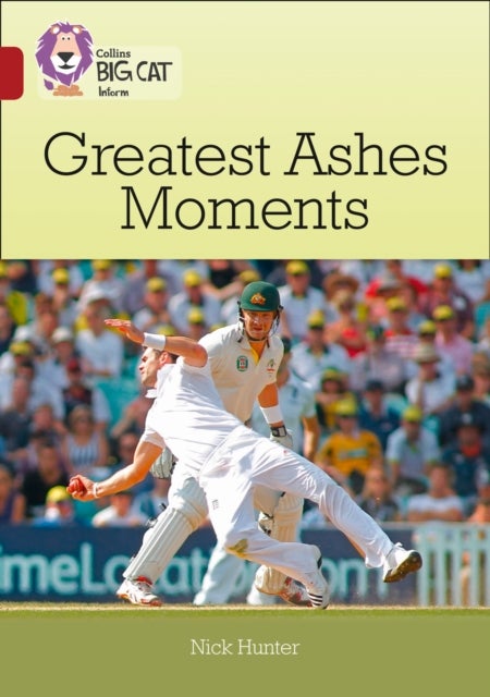 BIG CAT - GREATEST ASHES