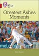 BIG CAT - GREATEST ASHES