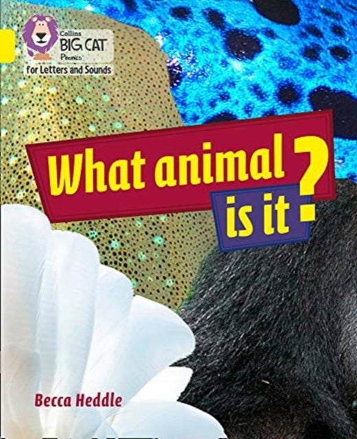 BIG CAT L&S_WHAT ANIMAL