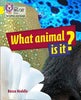BIG CAT L&S_WHAT ANIMAL