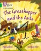 BIG CAT L&S_GRASSHO ANT