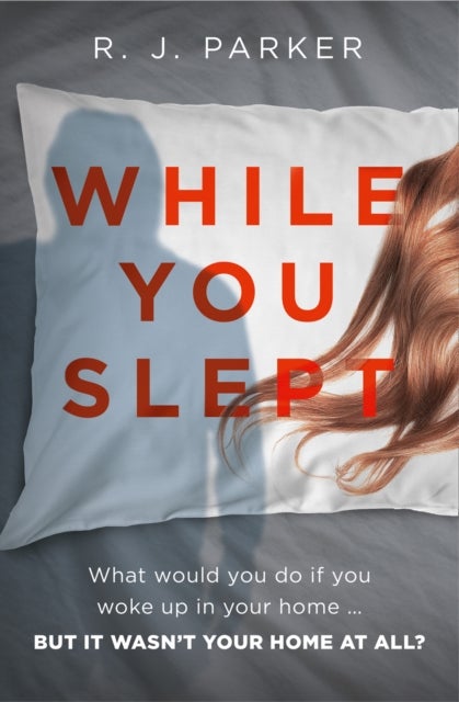 WHILE YOU SLEPT PB