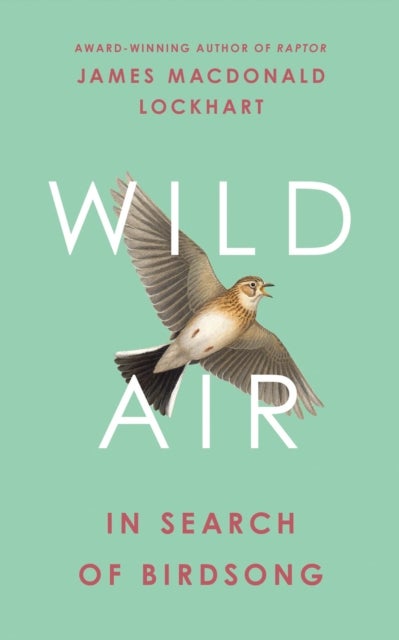 WILD AIR HB - In Search of Birdsong