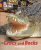 BIG CAT L&S_CROCS AND ROCKS