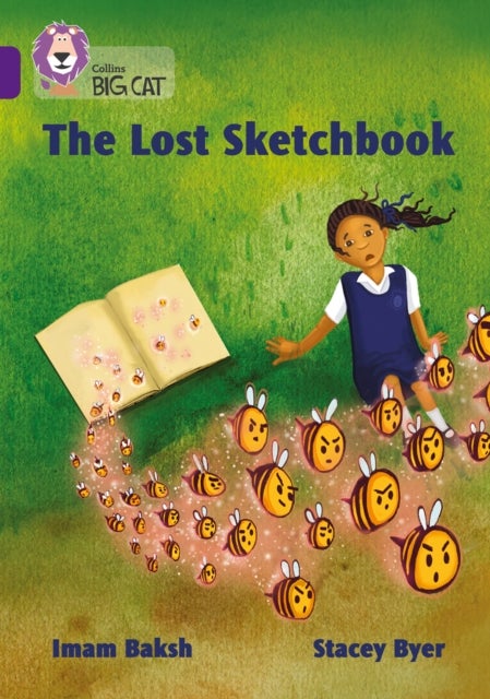 BIG CAT - LOST SKETCH BOOK - Band 08/Purple