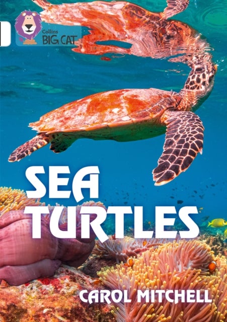 BIG CAT_SEA TURTLES - Band 10/White