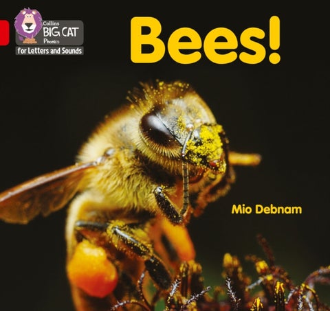 Bees! - Band 02b/Red B