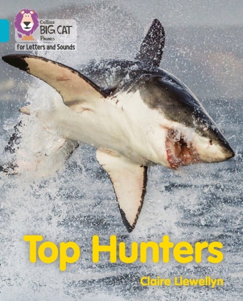Top Hunters - Band 07/Turquoise