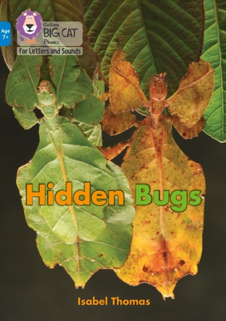BIG CAT L&S KS2_HIDDEN BUGS - Band 04/Blue