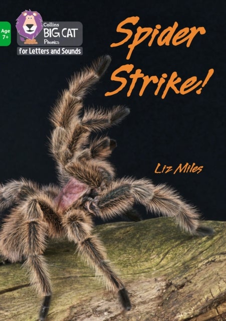 Spider Strike! - Band 05/Green